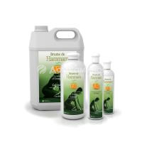 Аромат для хамама Camylle Апельсин