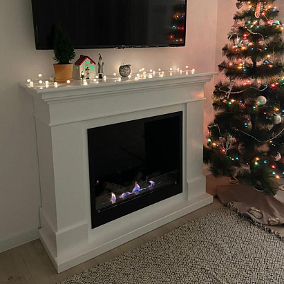 Биокамин Калифорния