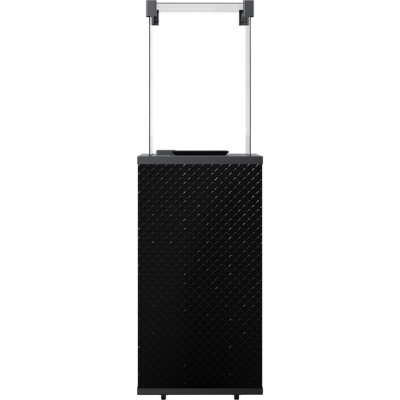 Нагреватель газовый PATIO/MINI/G31/37MBAR/CZ/P - черное стекло, тиснение, пульт