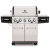 Гриль газовый Broil King REGAL S 590 Гриль газовый Broil King REGAL S 590
