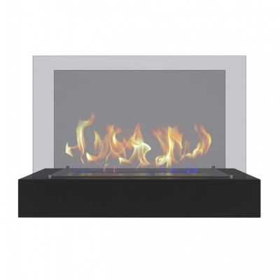 Биокамин Твинки Биг